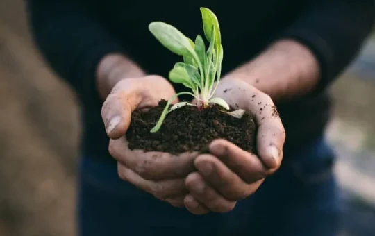 Sustainable Habits