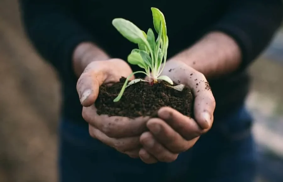 Sustainable Habits