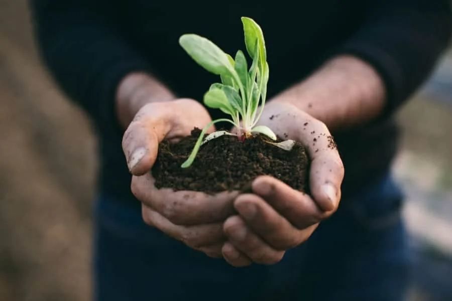 Sustainable Habits